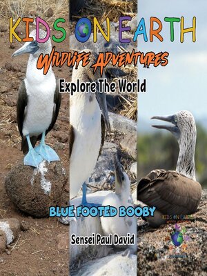 cover image of Blue Footed Booby
